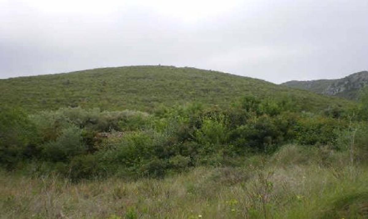 Terreno en venta en Santa Magdalena de Pulpis, Castellón photo 4