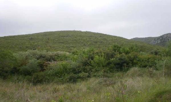 Terreno en Santa Magdalena de Pulpis photo 4