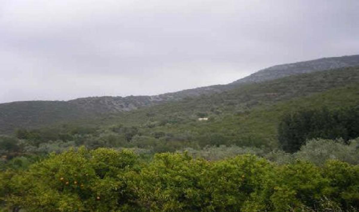 Terreno en venta en Santa Magdalena de Pulpis, Castellón photo 5