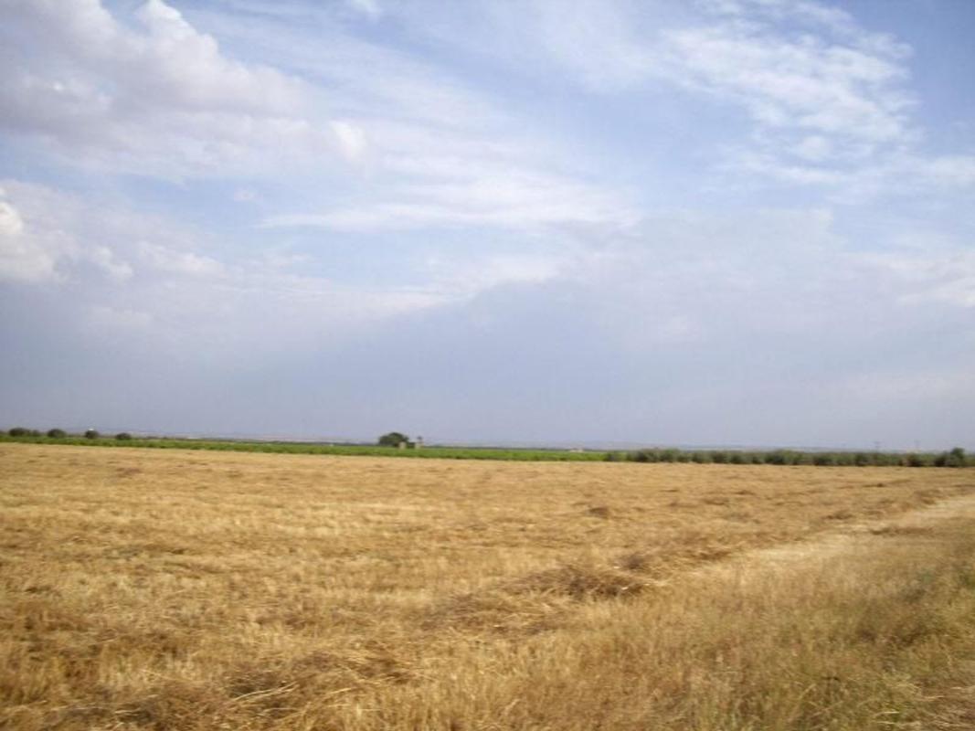 Terreno en venta en Socuéllamos, Ciudad Real photo 1