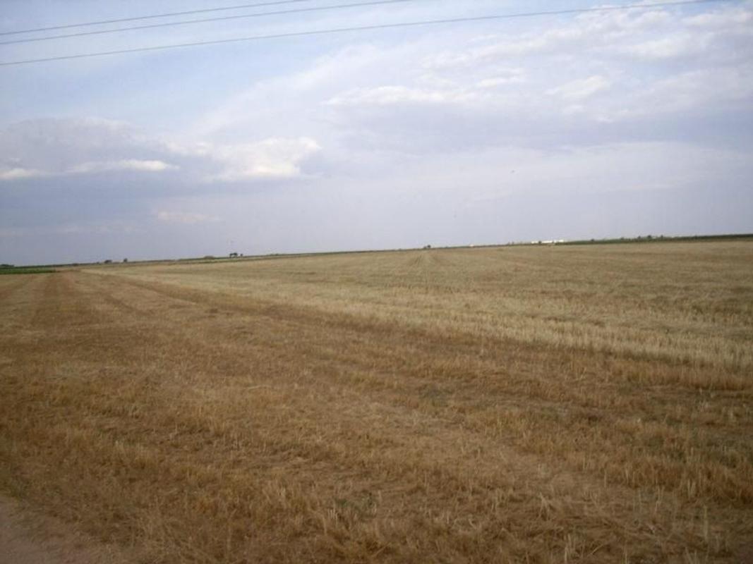 Terreno en venta en Socuéllamos, Ciudad Real photo 2