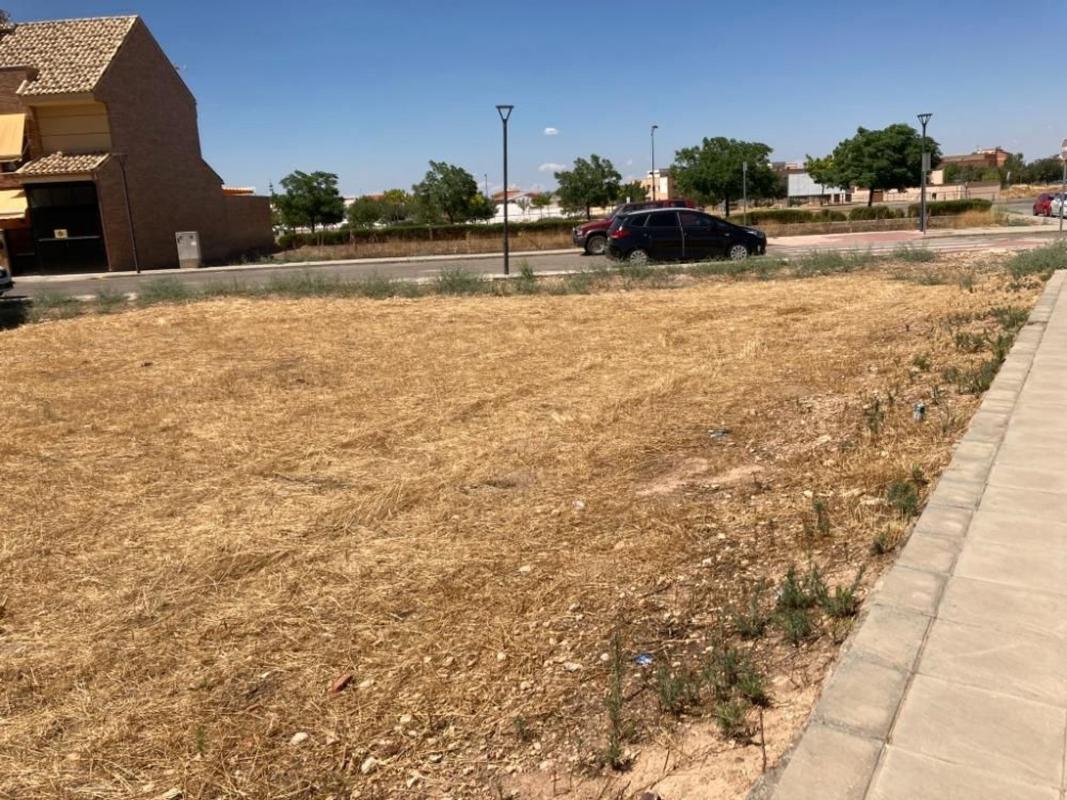 Terreno en venta en Carrion De Calatrava, Ciudad Real photo 5