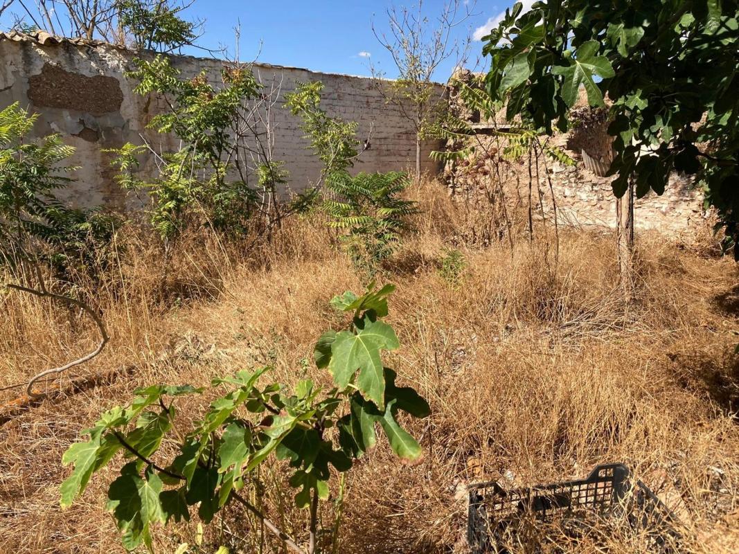 Участок земли на продажу в Лас-Касас, Сьюдад-Реаль photo 4