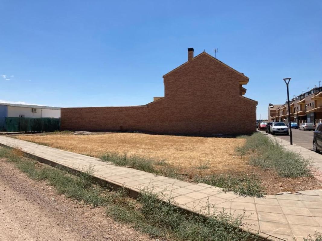 Terreno en venta en Carrion De Calatrava, Ciudad Real photo 3