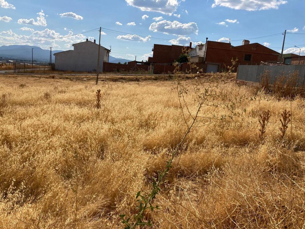 Terreno en venta en Piedrabuena, Ciudad Real photo 2