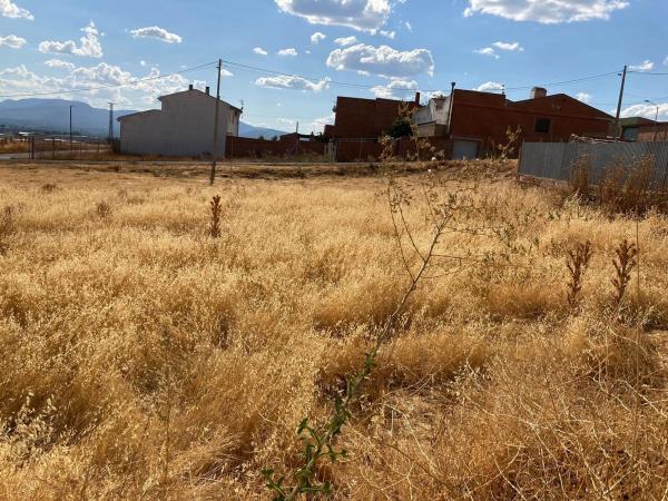 Terreno en Calle los Cipreses s/n, Piedrabuena thumbnail 1