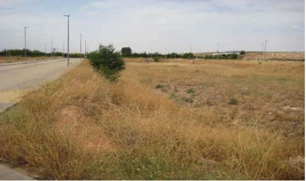 Terreno en Calle Puertollano, Manzanares thumbnail 1
