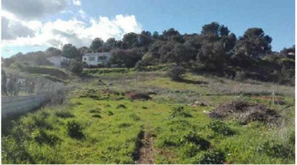 Terreno en Camino Caballera, 9, Trassierra - Las Jaras, Córdoba photo 4