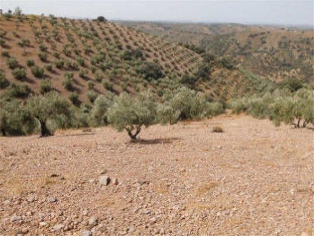 Terreno en venta en Montoro, Córdoba photo 1