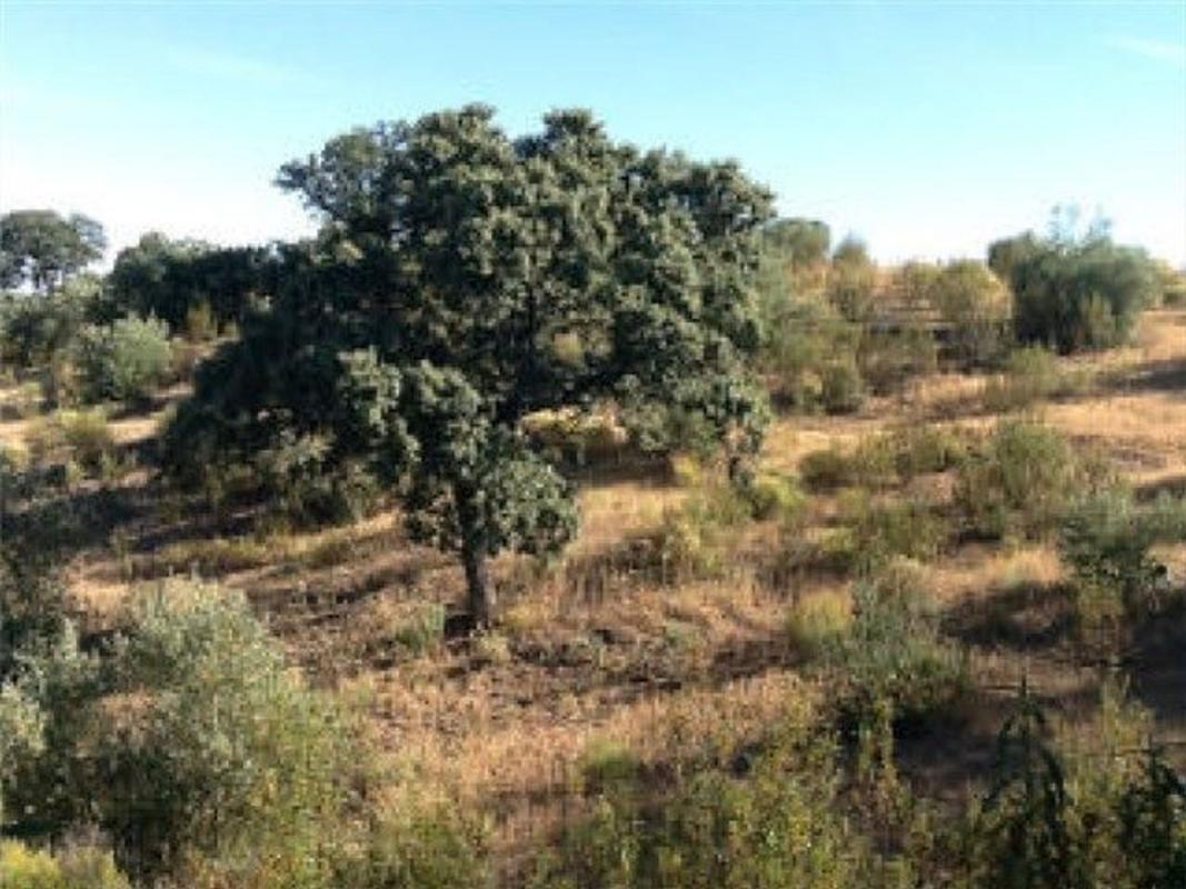 Terreno en venta en Alcaracejos, Córdoba photo 1