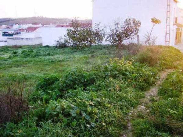 Terreno en Calle Almenara, 2, Pedro Abad photo 1