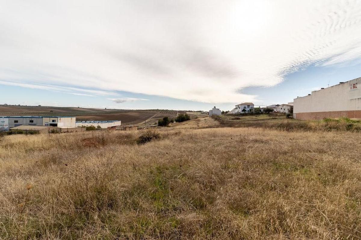 Terreno en venta en Carlota, La, Córdoba photo 3