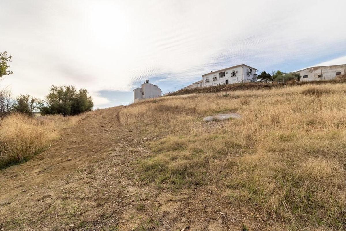 Terreno en venta en Carlota, La, Córdoba photo 4