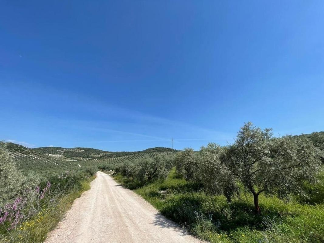 Terreno en venta en Aguilar de la Frontera, Córdoba photo 4