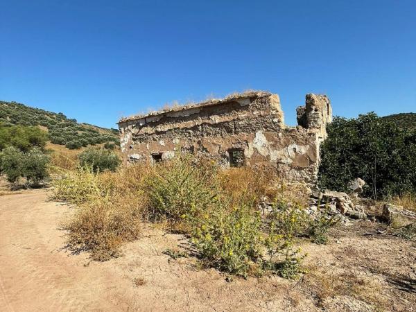 Terreno en Encinas Reales photo 3