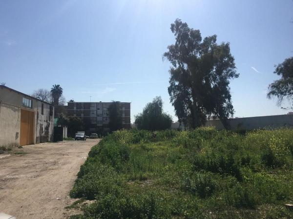 Terreno en Calle de la Oficina, Cañero - Fidiana, Córdoba thumbnail 1