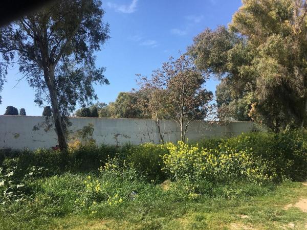 Terreno en Calle de la Oficina, Cañero - Fidiana, Córdoba photo 3