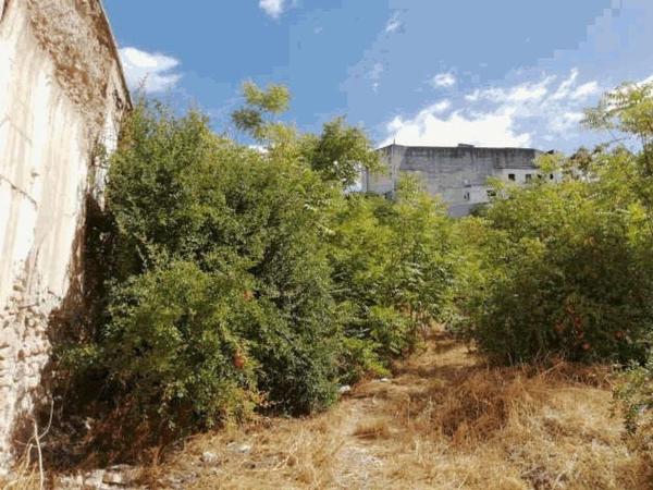 Terreno en Calle Delgado, Puente Genil photo 4