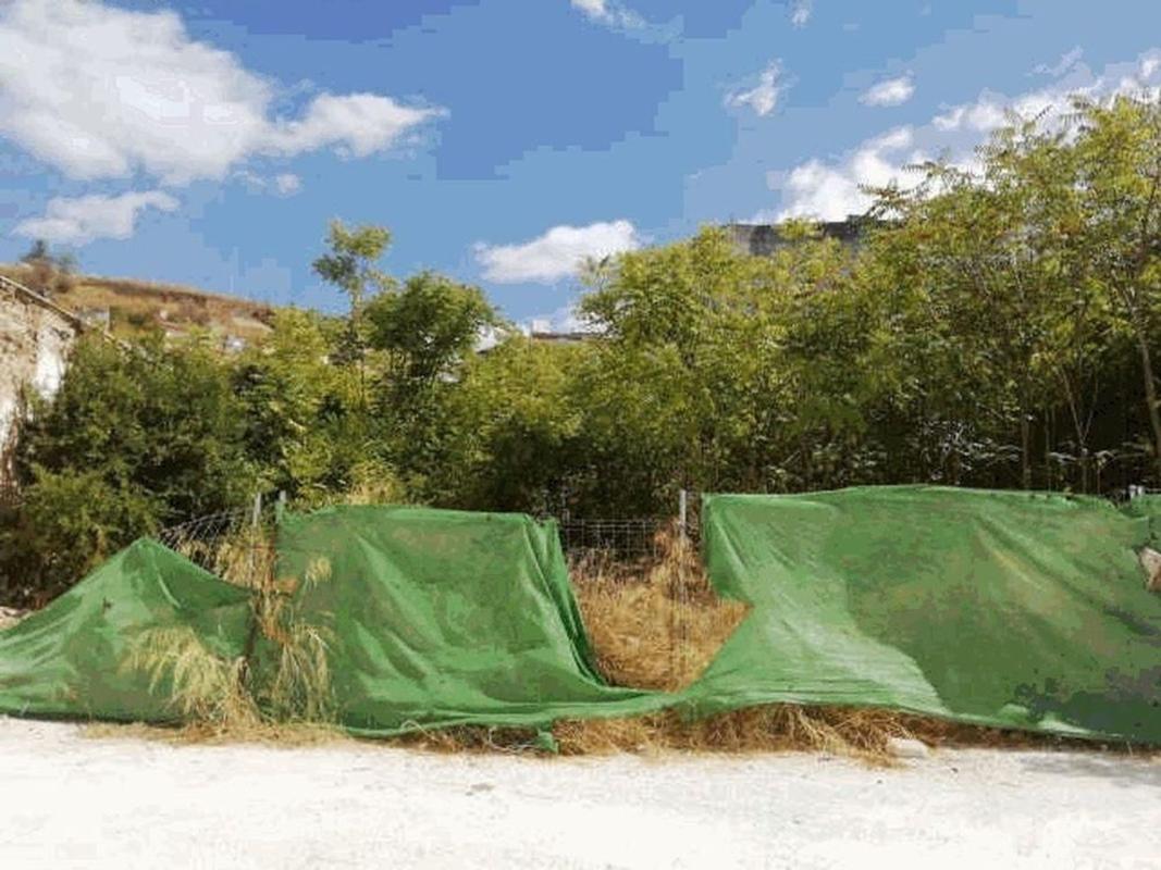 Terreno en venta en Puente Genil, Córdoba photo 5