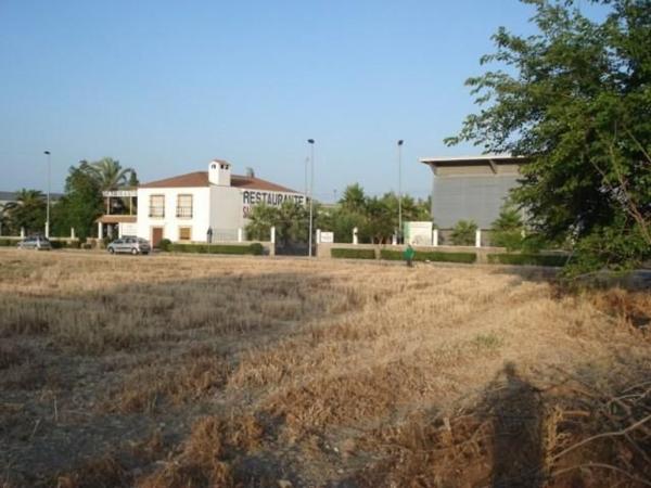 Terreno en Calle Santa Rafaela Maria, 2, Pedro Abad photo 1