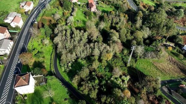 Terreno en Camino Vello, 79, Pontedeume photo 1