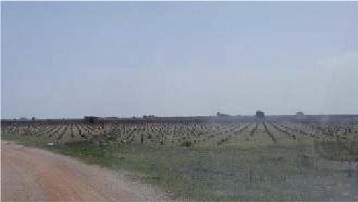 Land for sale in Mound of the Raven, Cuenca photo 1