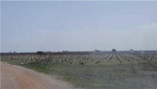 Terreno en Vía, Mota del Cuervo photo 1