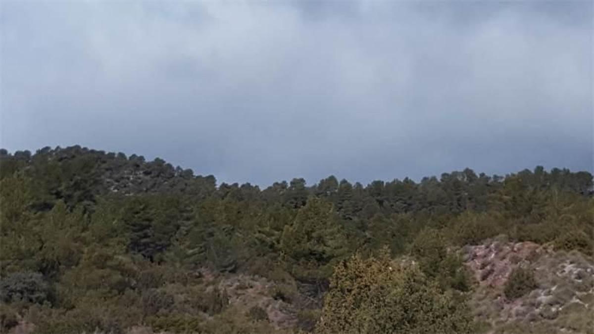 Land for sale in Enguidanos, Cuenca photo 1