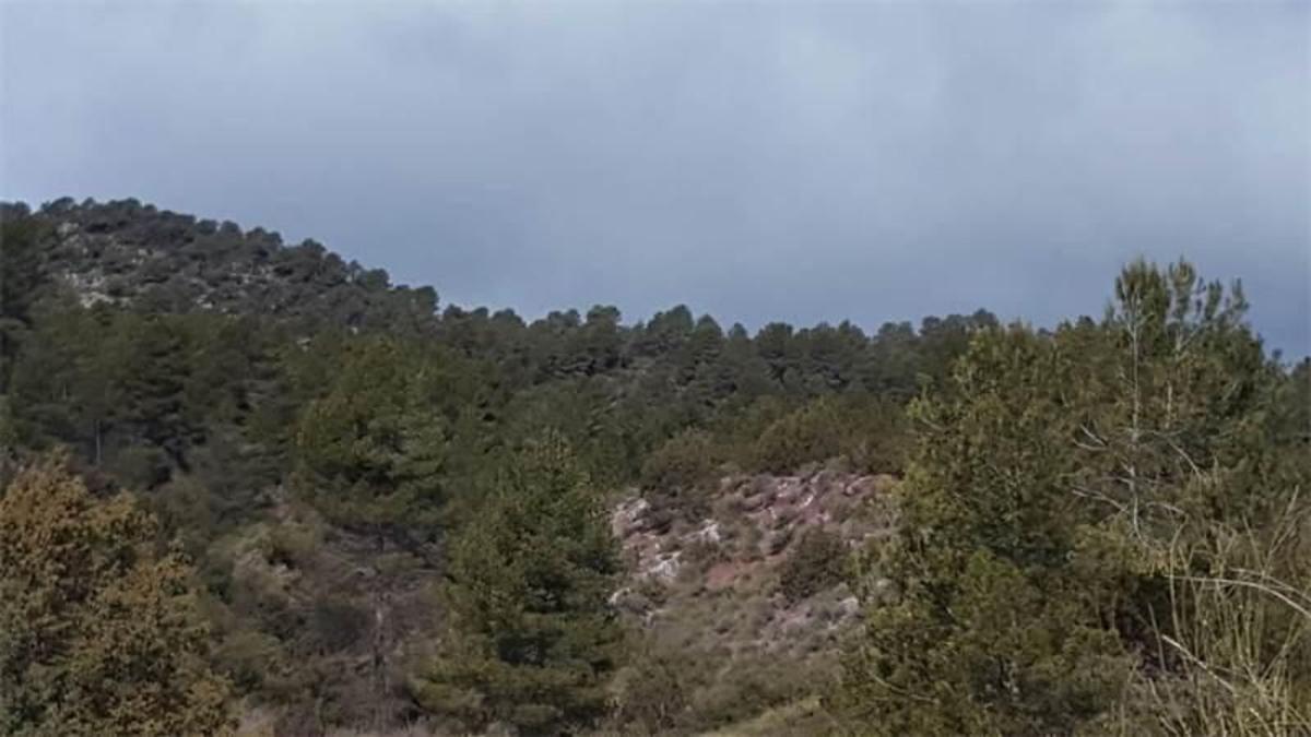 Land for sale in Enguidanos, Cuenca photo 2