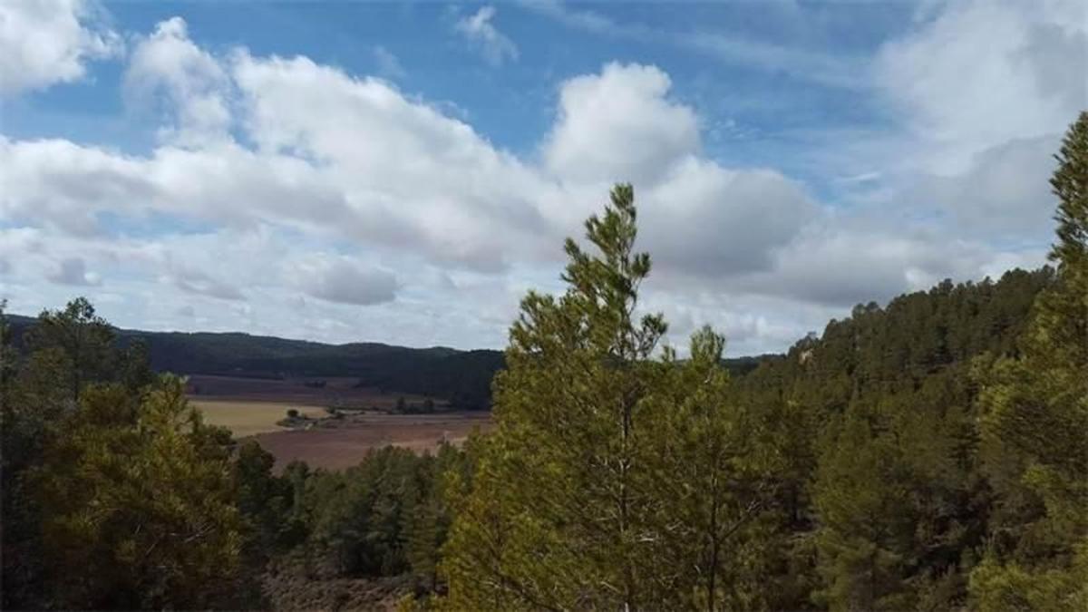 Land for sale in Enguidanos, Cuenca photo 5