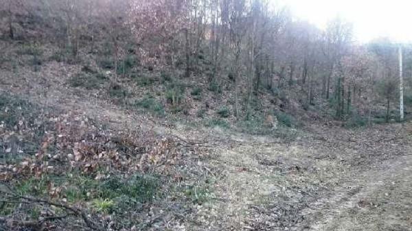 Terreno en Lloc Urbanitzacio Junior Park, Riells i Viabrea photo 1