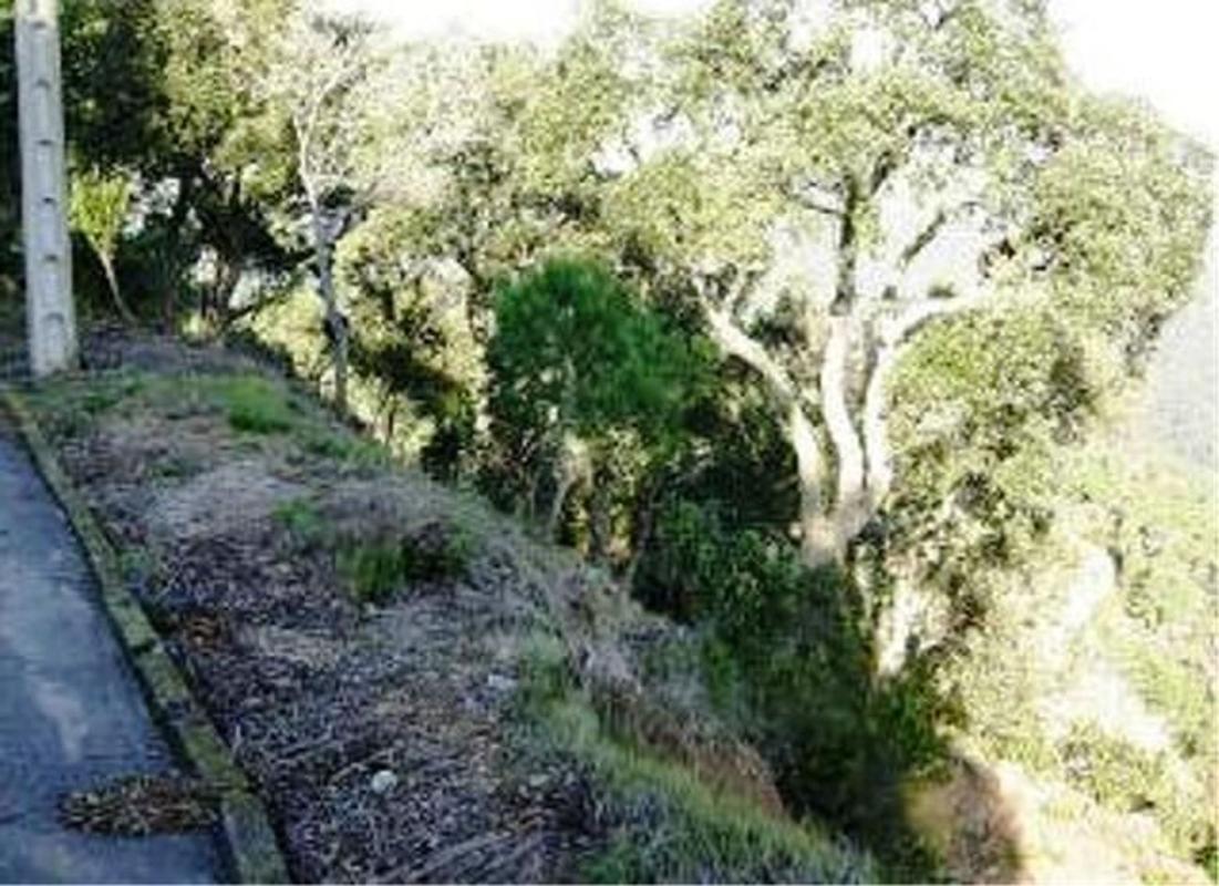 Terreno en venta en Lloret de Mar, Girona photo 3