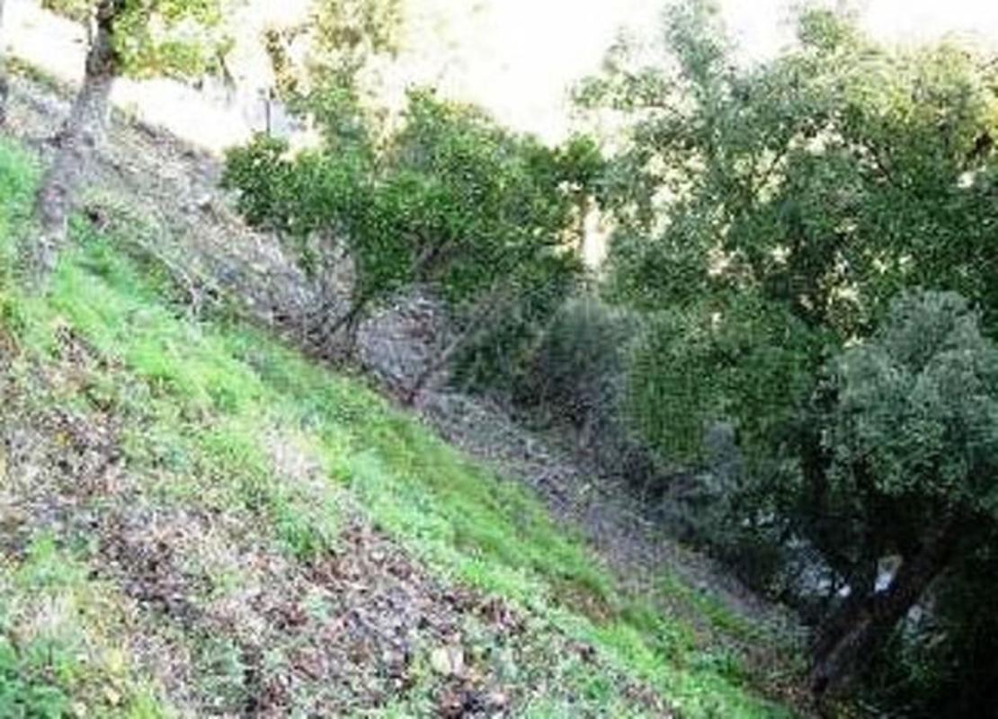 Terreno en venta en Lloret de Mar, Girona photo 5