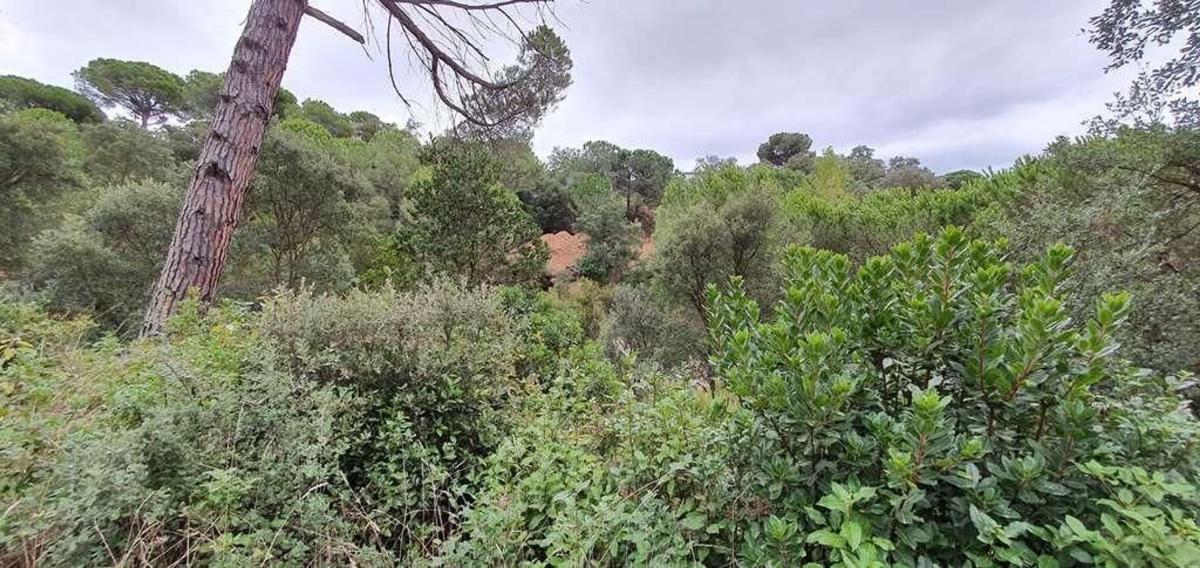 Terreno en venta en Lloret de Mar, Girona photo 1