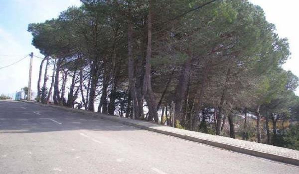Terreno en Calle dels Avets, 38, Riudarenes photo 1