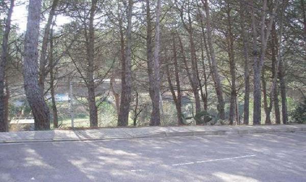 Terreno en Calle dels Avets, 38, Riudarenes photo 2