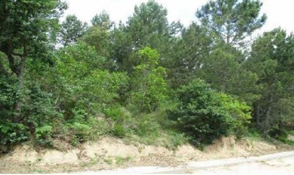 Terreno en Calle del Pollancre, 54, Massanes thumbnail 2