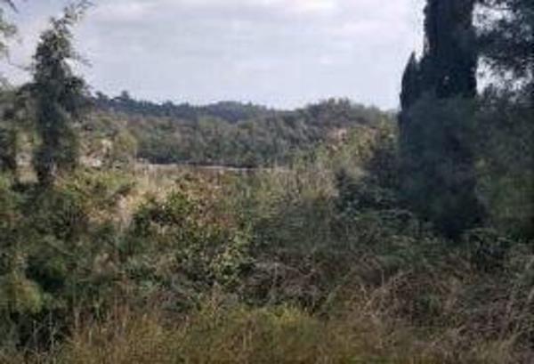 Terreno en Calle de la Selva, 65, Lloret Blau - La Creu de Lloret, Lloret de Mar thumbnail 2
