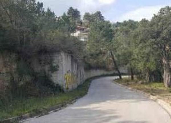 Terreno en Calle de la Selva, 65, Lloret Blau - La Creu de Lloret, Lloret de Mar photo 4