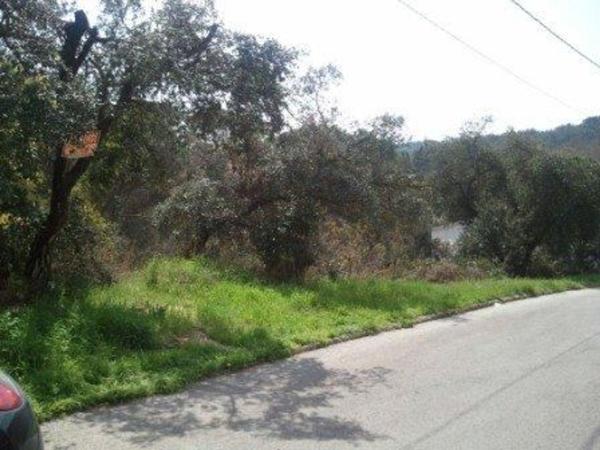 Terreno en Calle Mas Margarida, 33, Mas Altaba-El Molí, Maçanet de la Selva photo 1