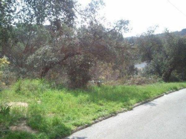 Terreno en Calle Mas Margarida, 33, Mas Altaba-El Molí, Maçanet de la Selva thumbnail 1
