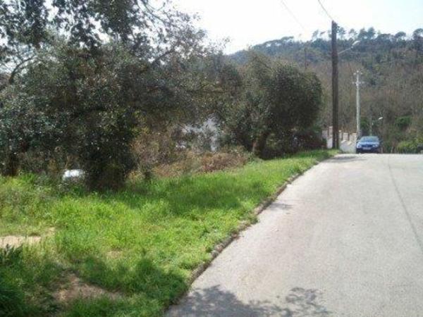 Terreno en Calle Mas Margarida, 33, Mas Altaba-El Molí, Maçanet de la Selva photo 3