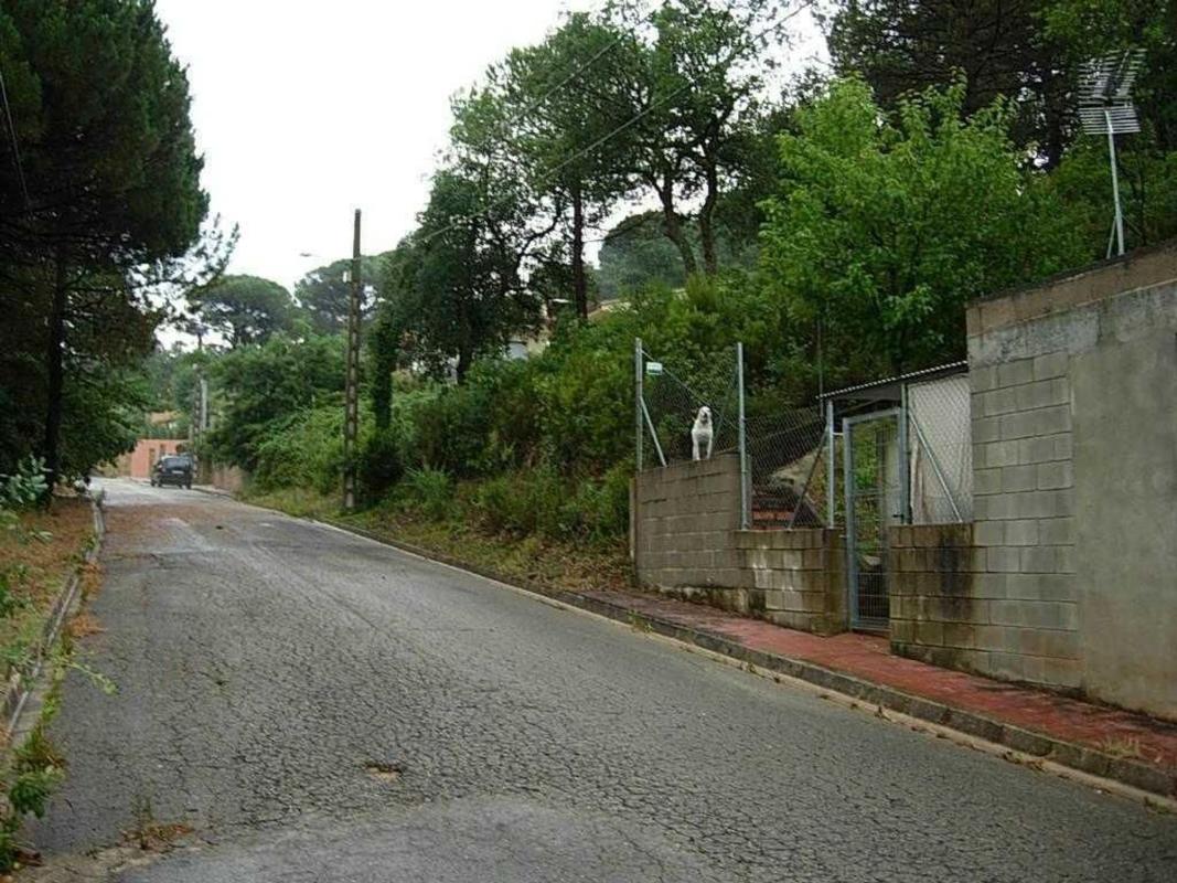 Działka na sprzedaż w Maçanet de la Selva, Girona photo 1
