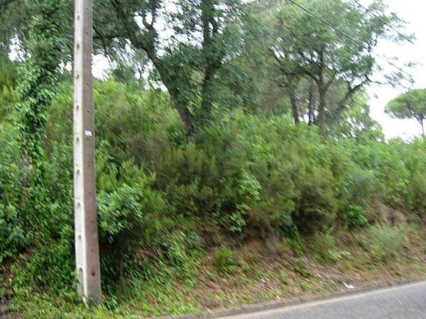 Terreno en Calle Santa Elena, 587, Montbarbat, Maçanet de la Selva thumbnail 2
