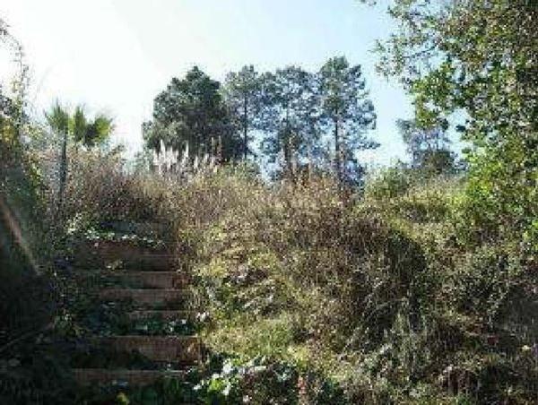 Terreno en Calle Cerdanya, 19, Lloret Blau - La Creu de Lloret, Lloret de Mar photo 2
