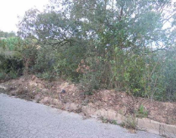 Terreno en Calle Venus, 7, Lloret Residencial, Lloret de Mar photo 1