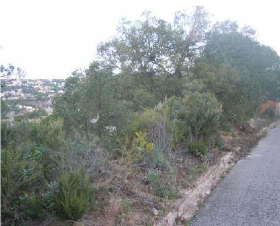 Terreno en Calle Venus, 7, Lloret Residencial, Lloret de Mar photo 2