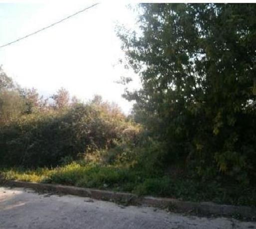 Terreno en Camino de Can Plana, 8 Polig 8, Riells i Viabrea photo 1