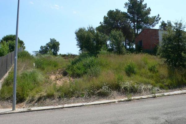 Terreno en Calle de l'Àlber, 98, Sils thumbnail 1