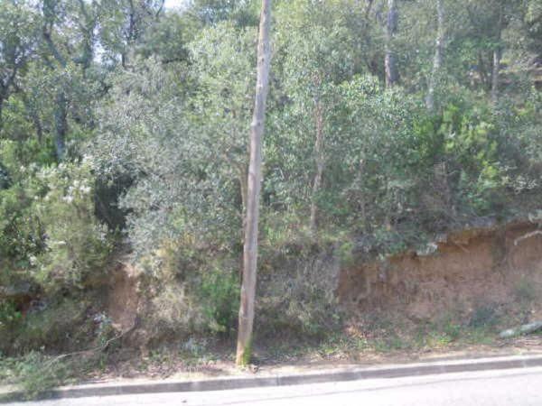 Terreno en Calle Olivera, 44, Mas Pere-Río de Oro, Calonge thumbnail 2